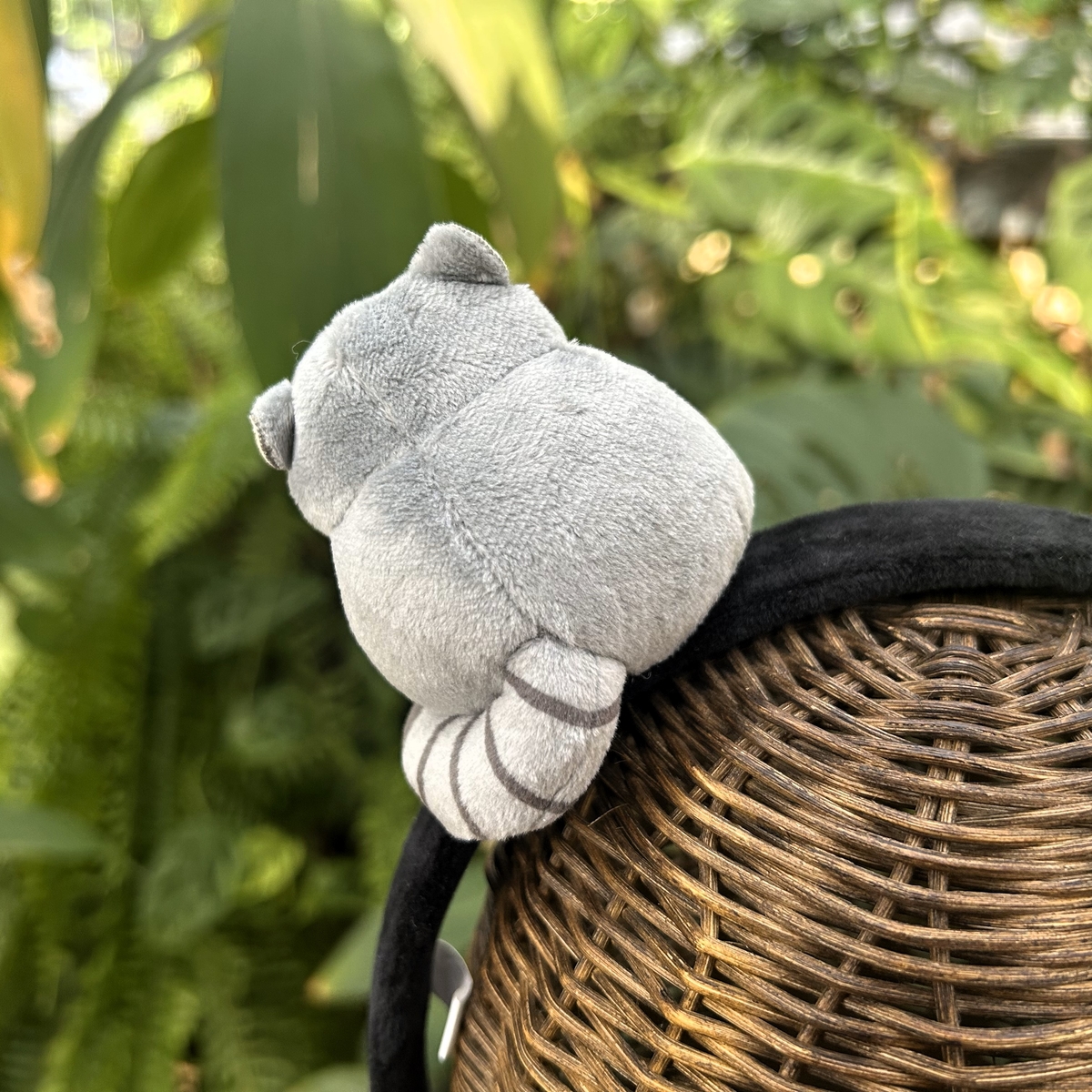 カチューシャ マヌルネコ | 神戸どうぶつ王国NS